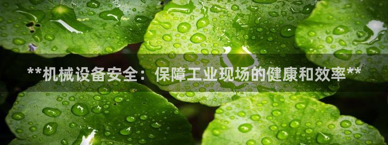 九游老哥俱乐部官方网站