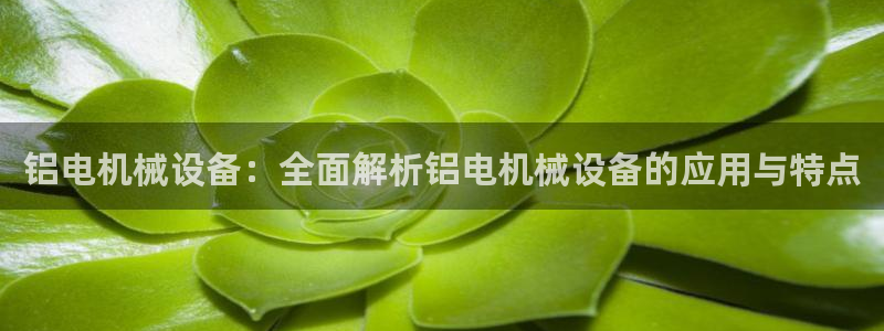 j9九游会直营