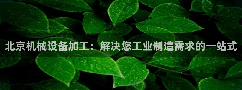 九游会网址九