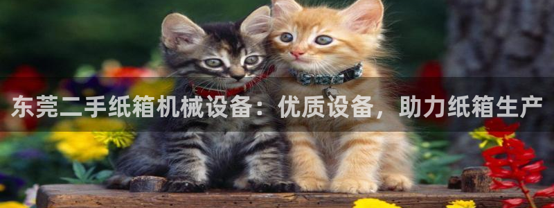 九游会登陆地址