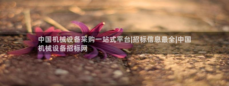 九游会游戏网址