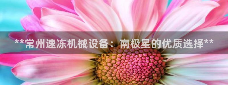 j9九游会游戏