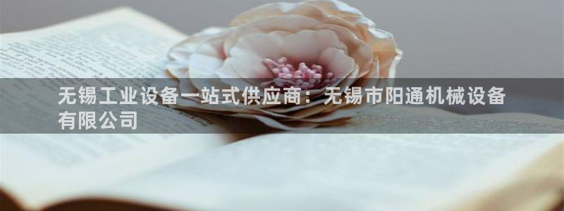 九游会中国j9