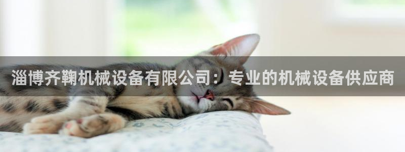 九游会集团国际