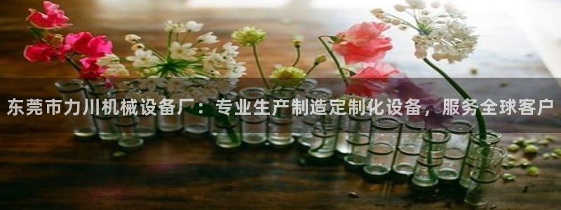 九游会官网真人认证吗知乎