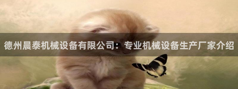 J9九游会登陆旧版