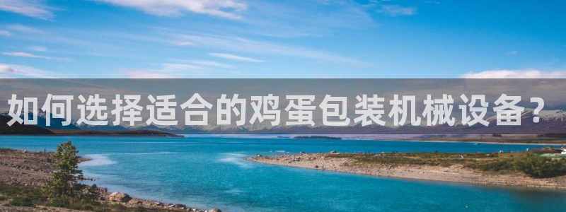 九游会国际厅：如何选