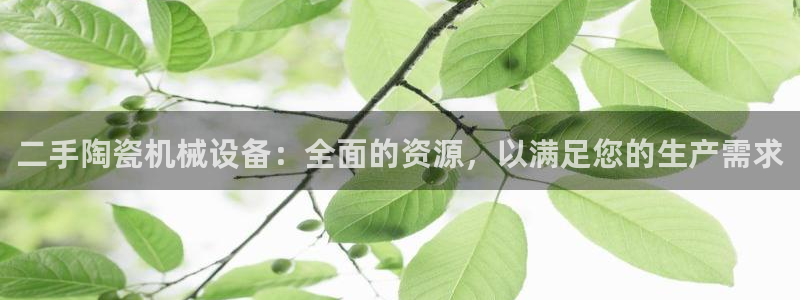 九游会网址最新：二手